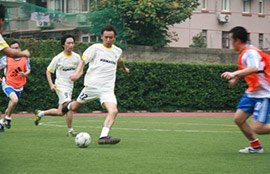 taptap点点网站首页足球队